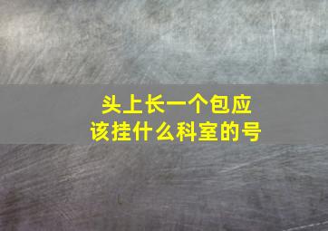 头上长一个包应该挂什么科室的号