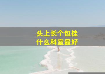 头上长个包挂什么科室最好