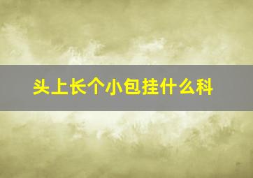 头上长个小包挂什么科