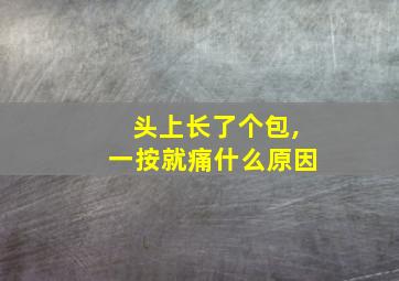 头上长了个包,一按就痛什么原因