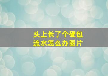 头上长了个硬包流水怎么办图片