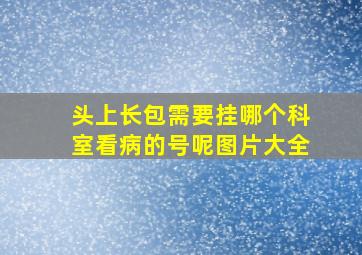 头上长包需要挂哪个科室看病的号呢图片大全