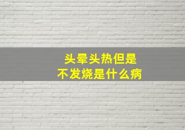 头晕头热但是不发烧是什么病