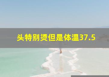 头特别烫但是体温37.5