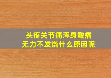 头疼关节痛浑身酸痛无力不发烧什么原因呢