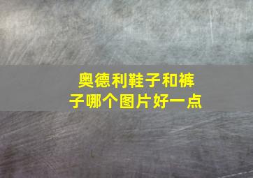 奥德利鞋子和裤子哪个图片好一点