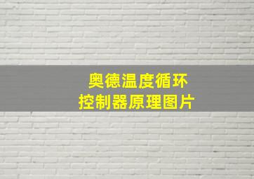 奥德温度循环控制器原理图片