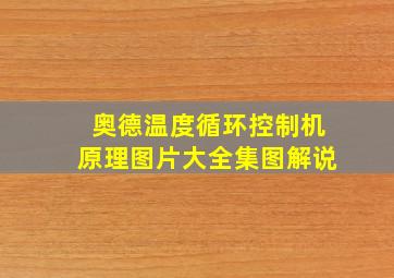 奥德温度循环控制机原理图片大全集图解说