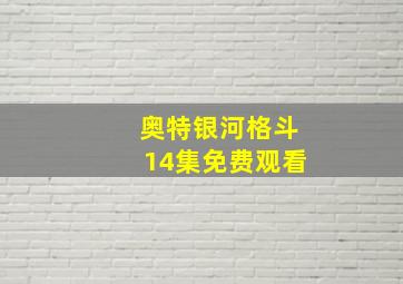 奥特银河格斗14集免费观看