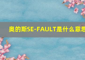 奥的斯SE-FAULT是什么意思