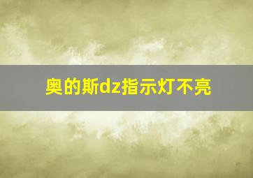 奥的斯dz指示灯不亮