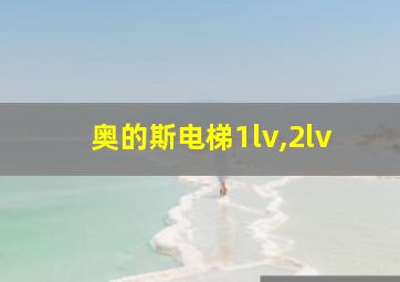 奥的斯电梯1lv,2lv