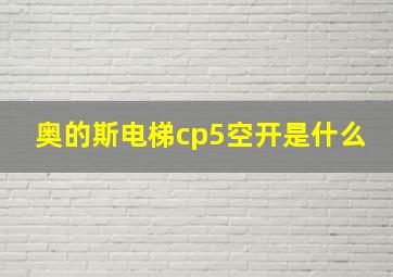 奥的斯电梯cp5空开是什么