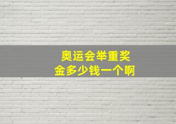 奥运会举重奖金多少钱一个啊