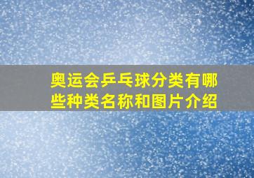 奥运会乒乓球分类有哪些种类名称和图片介绍