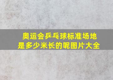 奥运会乒乓球标准场地是多少米长的呢图片大全