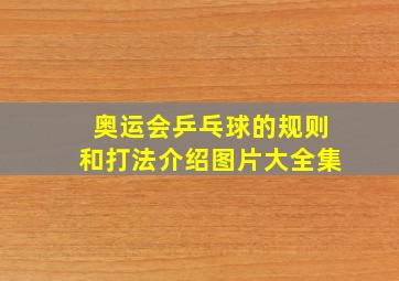 奥运会乒乓球的规则和打法介绍图片大全集