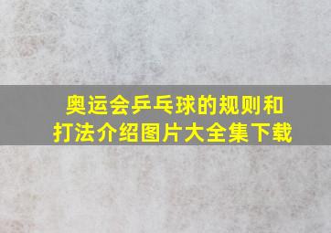 奥运会乒乓球的规则和打法介绍图片大全集下载