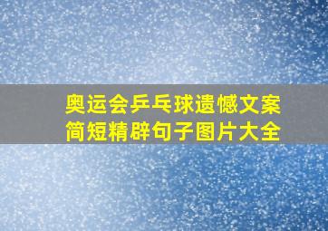 奥运会乒乓球遗憾文案简短精辟句子图片大全