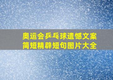 奥运会乒乓球遗憾文案简短精辟短句图片大全