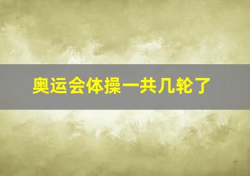 奥运会体操一共几轮了