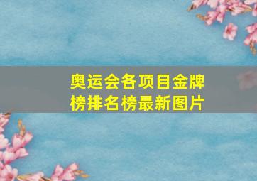 奥运会各项目金牌榜排名榜最新图片