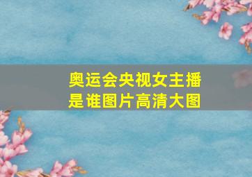 奥运会央视女主播是谁图片高清大图