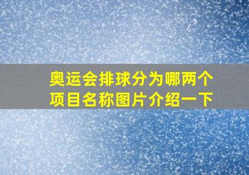 奥运会排球分为哪两个项目名称图片介绍一下