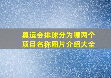 奥运会排球分为哪两个项目名称图片介绍大全