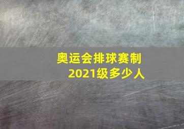 奥运会排球赛制2021级多少人