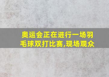 奥运会正在进行一场羽毛球双打比赛,现场观众