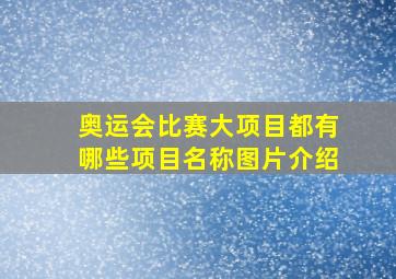 奥运会比赛大项目都有哪些项目名称图片介绍