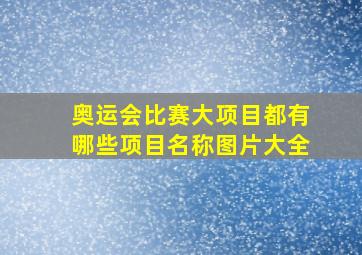 奥运会比赛大项目都有哪些项目名称图片大全