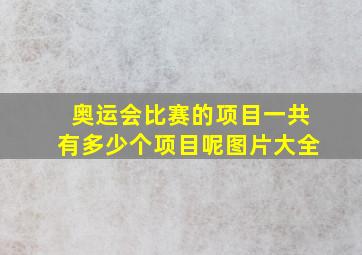 奥运会比赛的项目一共有多少个项目呢图片大全