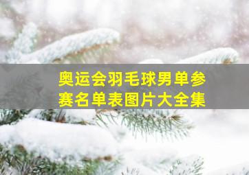 奥运会羽毛球男单参赛名单表图片大全集