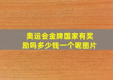 奥运会金牌国家有奖励吗多少钱一个呢图片