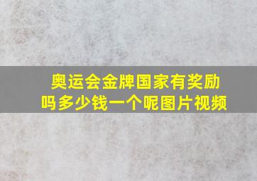 奥运会金牌国家有奖励吗多少钱一个呢图片视频