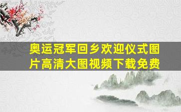 奥运冠军回乡欢迎仪式图片高清大图视频下载免费