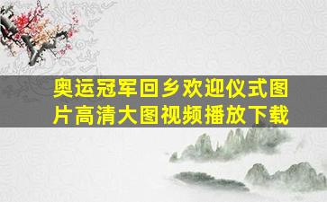 奥运冠军回乡欢迎仪式图片高清大图视频播放下载