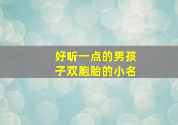 好听一点的男孩子双胞胎的小名