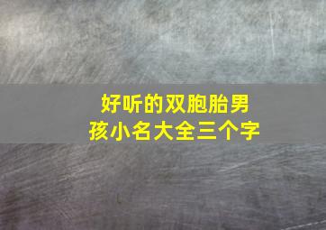 好听的双胞胎男孩小名大全三个字