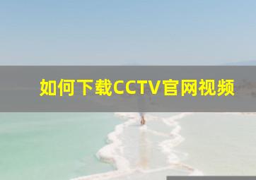 如何下载CCTV官网视频