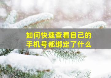 如何快速查看自己的手机号都绑定了什么