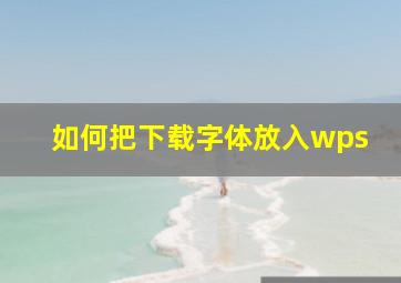 如何把下载字体放入wps