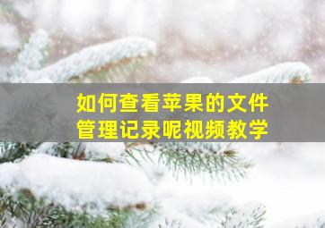 如何查看苹果的文件管理记录呢视频教学