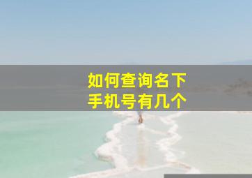 如何查询名下手机号有几个