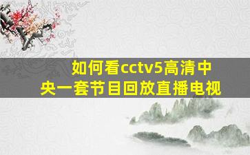 如何看cctv5高清中央一套节目回放直播电视