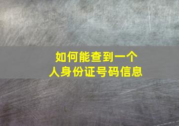 如何能查到一个人身份证号码信息