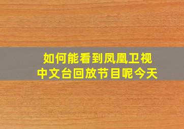 如何能看到凤凰卫视中文台回放节目呢今天