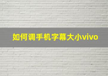 如何调手机字幕大小vivo